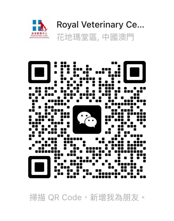 Follow Us on WeChat